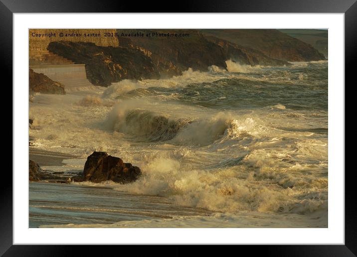 LOOKING WET Framed Mounted Print by andrew saxton