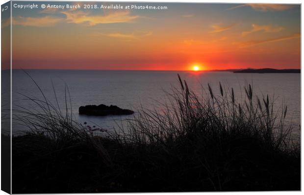 Anglesey Sunset Canvas Print by Antony Burch