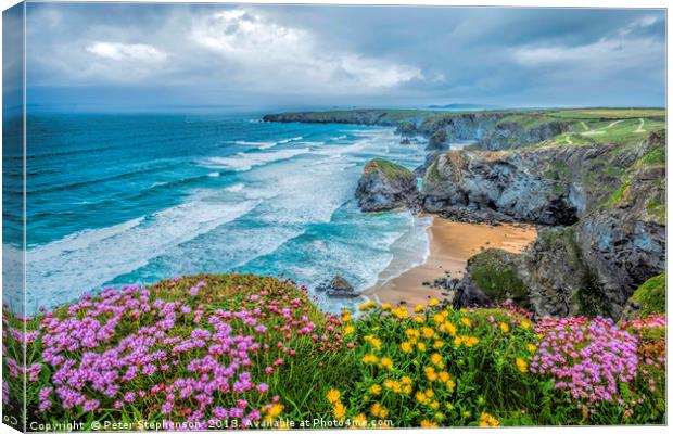 Flowers on Bedruthan Steps in Spring Canvas Print by Peter Stephenson