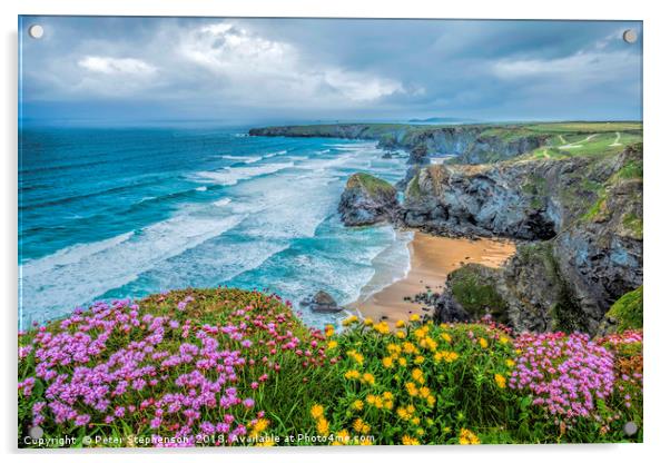 Flowers on Bedruthan Steps in Spring Acrylic by Peter Stephenson