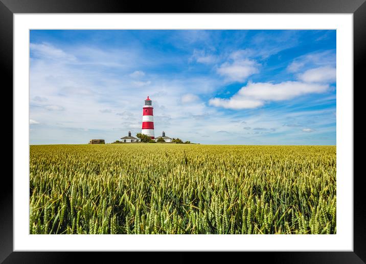 Happisburgh Lighthouse  in sea of green Framed Mounted Print by Kevin Snelling