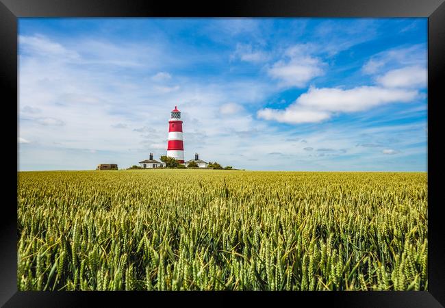 Happisburgh Lighthouse  in sea of green Framed Print by Kevin Snelling