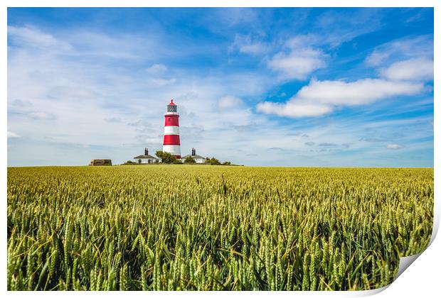 Happisburgh Lighthouse  in sea of green Print by Kevin Snelling