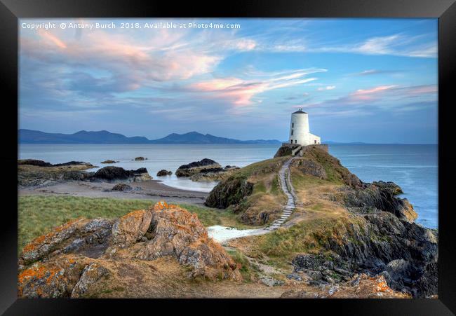 Twr Mawr Lighthouse Framed Print by Antony Burch