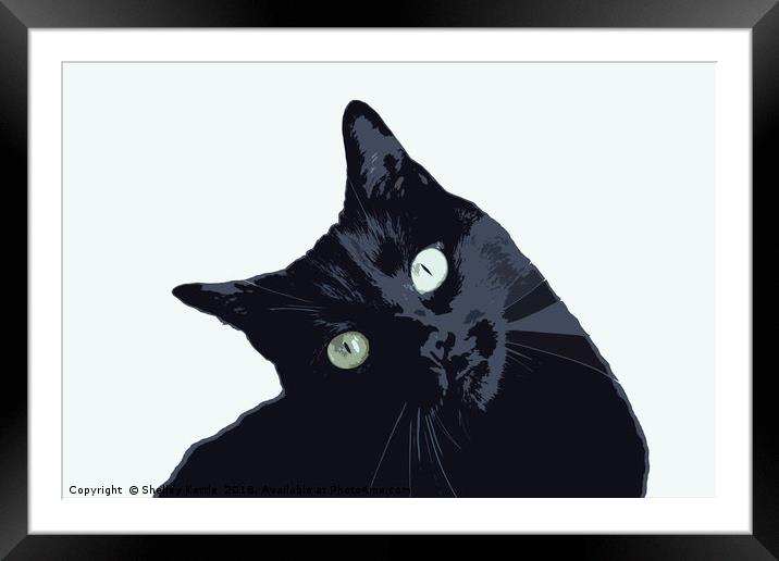 Cleo Framed Mounted Print by Shelley Kettle