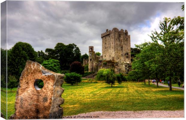 Blarney Castle and Grounds Canvas Print by Tom Gomez