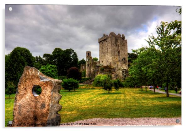 Blarney Castle and Grounds Acrylic by Tom Gomez