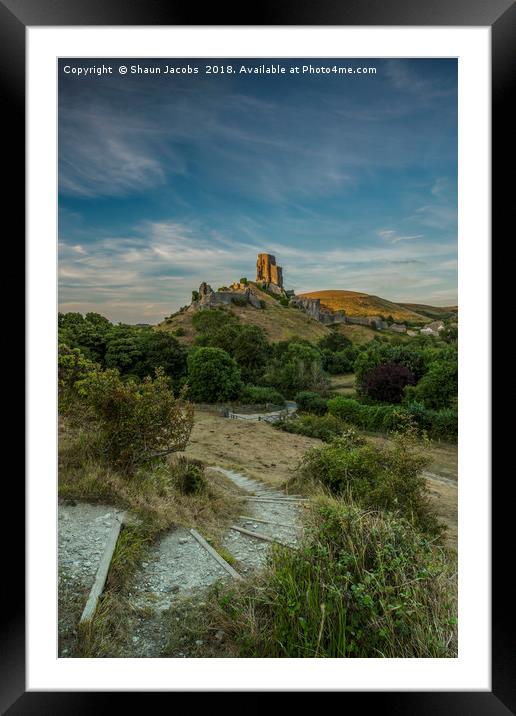 Sun kissed Corfe Castle  Framed Mounted Print by Shaun Jacobs