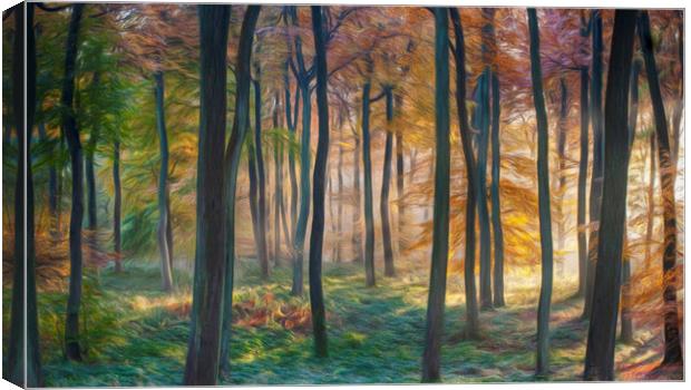 Digital Art - Autumn Woodland Dawn Canvas Print by Ceri Jones