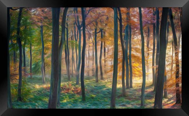 Digital Art - Autumn Woodland Dawn Framed Print by Ceri Jones