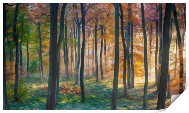 Digital Art - Autumn Woodland Dawn Print by Ceri Jones