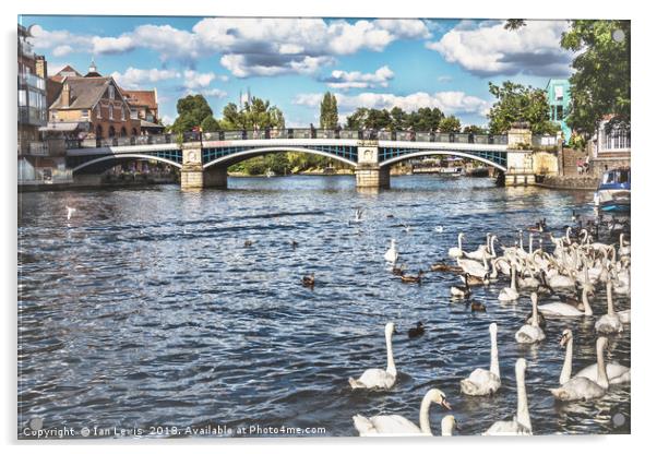 Windsor Town Bridge Acrylic by Ian Lewis