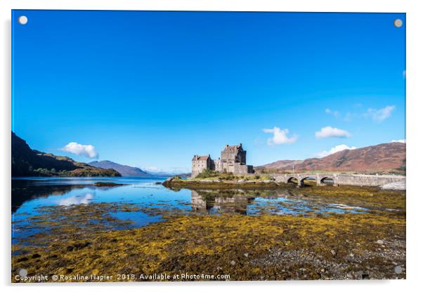 Eilean Donan Castle, Kyle of Lochalsh Acrylic by Rosaline Napier