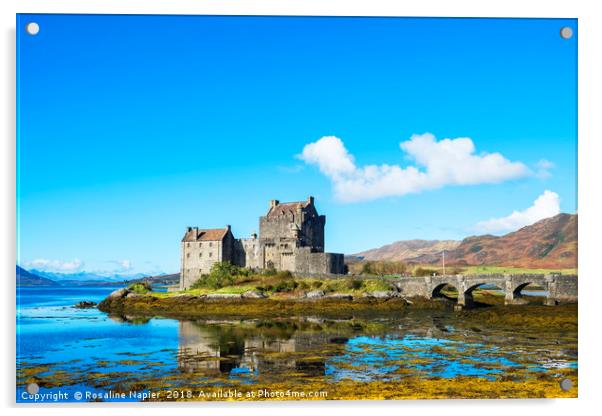 Iconic Eilean Donan Castle Acrylic by Rosaline Napier