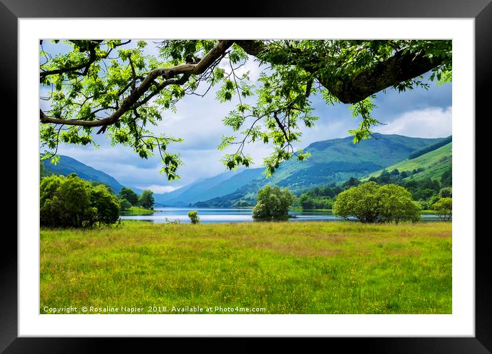 Looking through the trees towards Loch Voil  Framed Mounted Print by Rosaline Napier