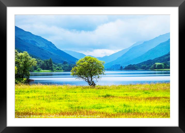 Looking towards Loch Voil from Balquhidder Framed Mounted Print by Rosaline Napier