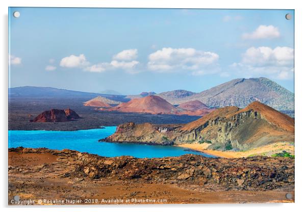 Galapagos landscape Acrylic by Rosaline Napier