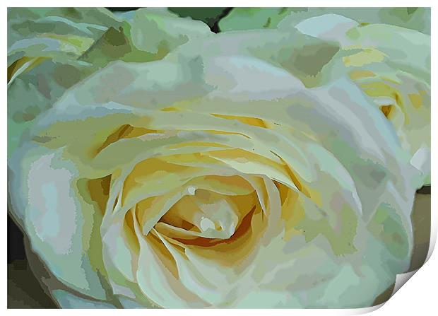 Roses are 3 Print by samantha bartlett