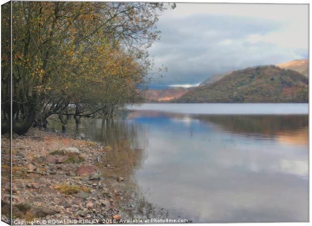 "Evening light and reflections Thirlmere" Canvas Print by ROS RIDLEY