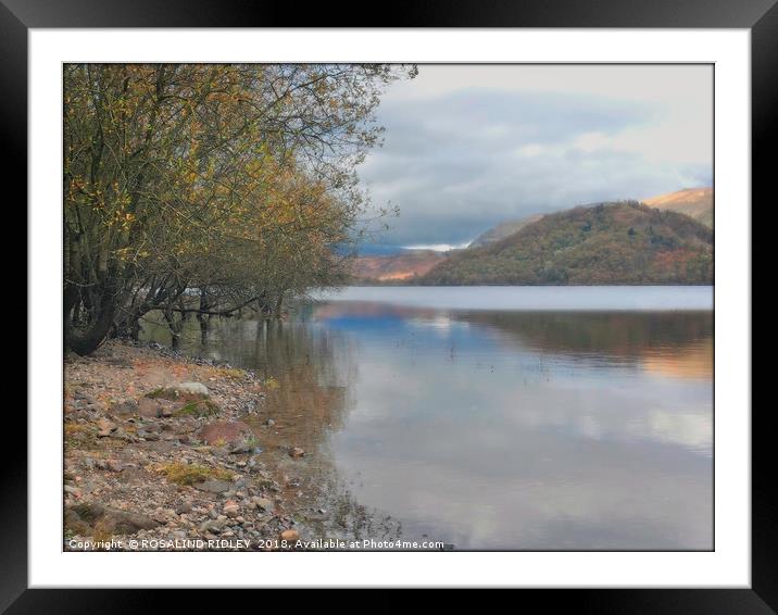 "Evening light and reflections Thirlmere" Framed Mounted Print by ROS RIDLEY