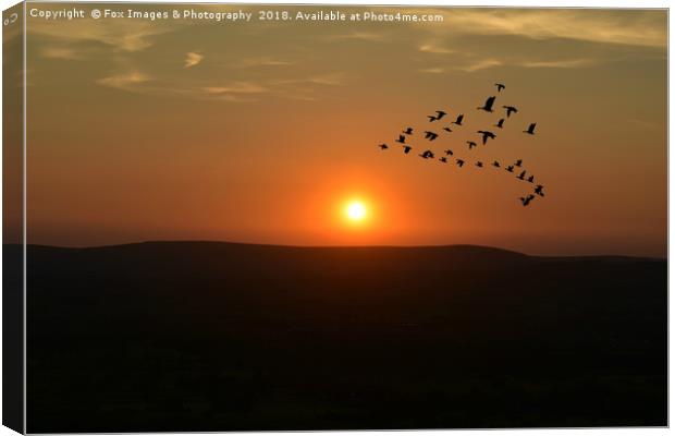 Sunset over bowland forest Canvas Print by Derrick Fox Lomax
