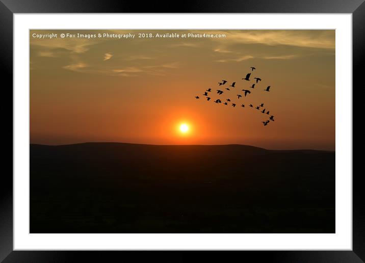 Sunset over bowland forest Framed Mounted Print by Derrick Fox Lomax