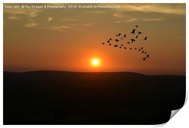 Sunset over bowland forest Print by Derrick Fox Lomax
