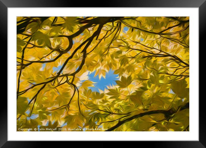 A Glimpse of Blue Framed Mounted Print by Colin Metcalf