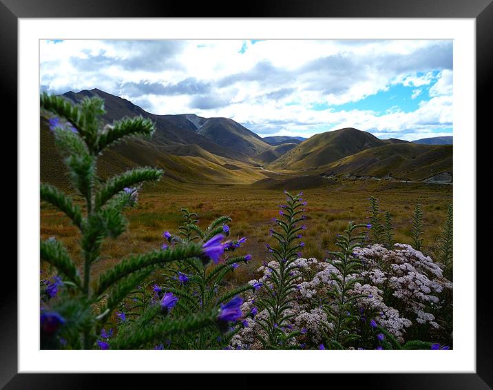 The Lowlands Framed Mounted Print by peter tachauer