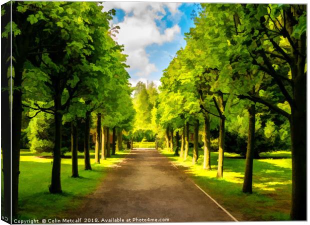 The Avenue Canvas Print by Colin Metcalf