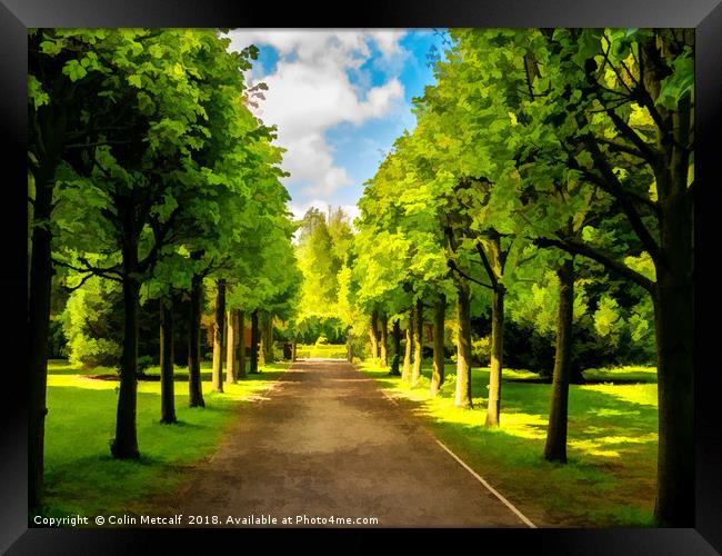 The Avenue Framed Print by Colin Metcalf