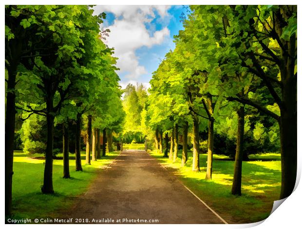 The Avenue Print by Colin Metcalf