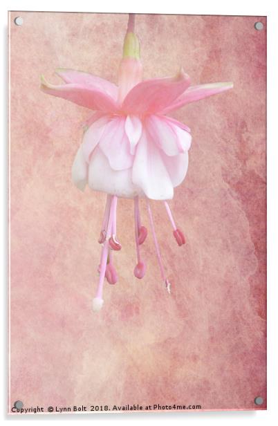 Pink Fuschia Acrylic by Lynn Bolt