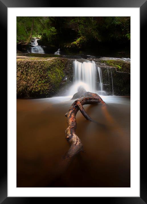 The tree branch at Blaen y Glyn Waterfalls Framed Mounted Print by Leighton Collins