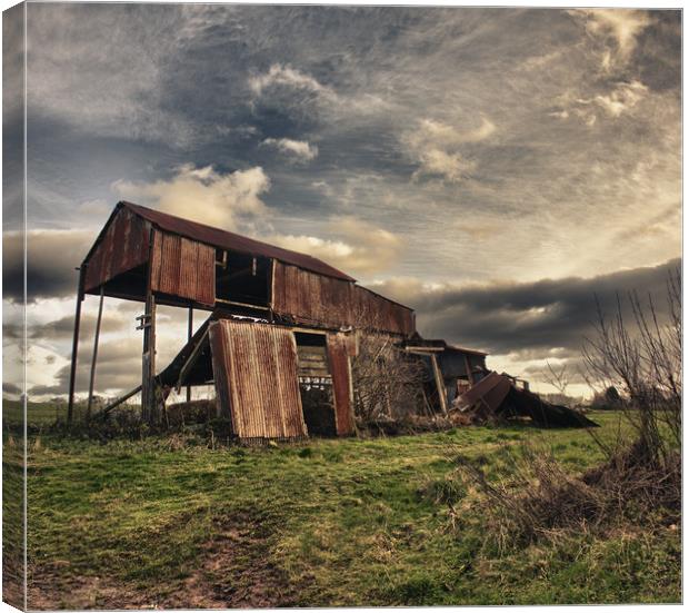 The Tumbledown Barn - Panoramic Canvas Print by Philip Brown