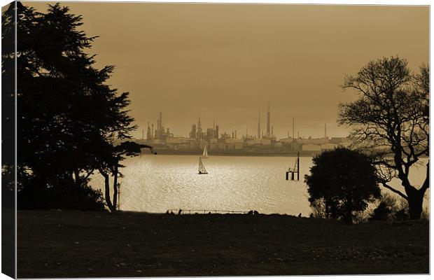 Fawley View Canvas Print by Donna Collett