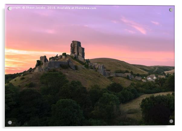 Sunset over Corfe Castle  Acrylic by Shaun Jacobs