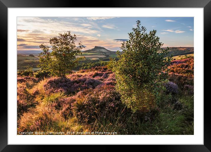 A walk through the heather Framed Mounted Print by Gary Clarricoates