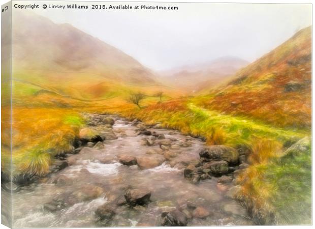 Mardale Beck to Harter Fell  Canvas Print by Linsey Williams