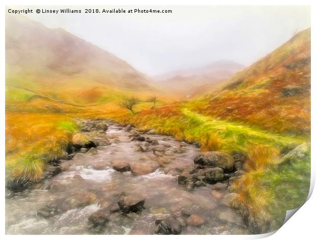 Mardale Beck to Harter Fell  Print by Linsey Williams