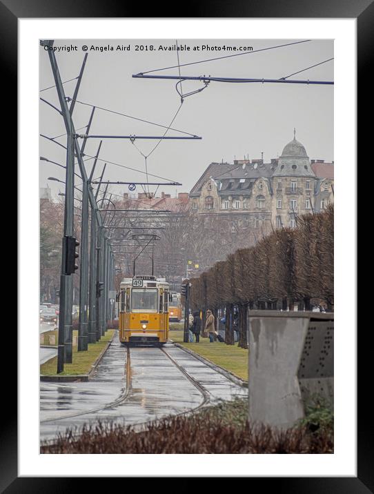 Budapest Tram. Framed Mounted Print by Angela Aird