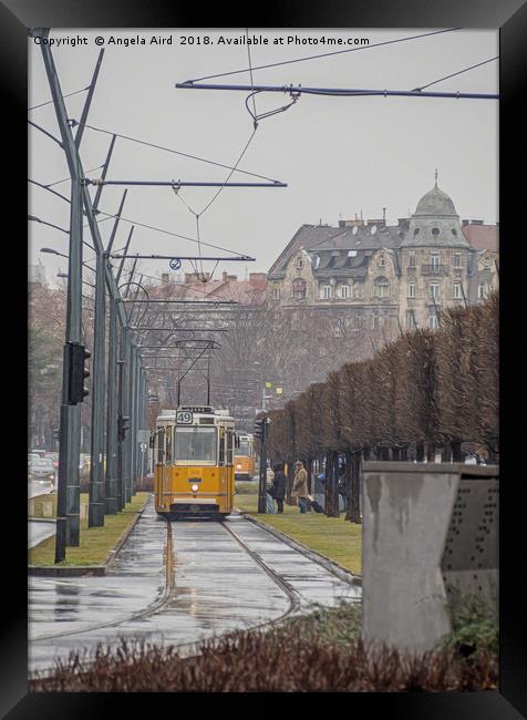 Budapest Tram. Framed Print by Angela Aird