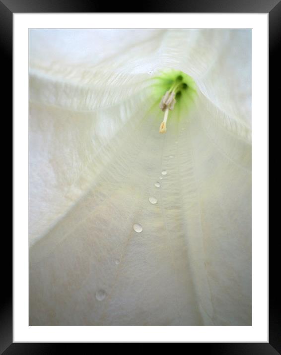 path of water droplets Framed Mounted Print by Heather Newton