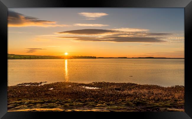 Photo's of Northumberland - Budle Bay Sunset Framed Print by Naylor's Photography