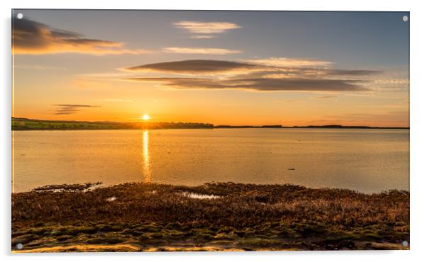Photo's of Northumberland - Budle Bay Sunset Acrylic by Naylor's Photography