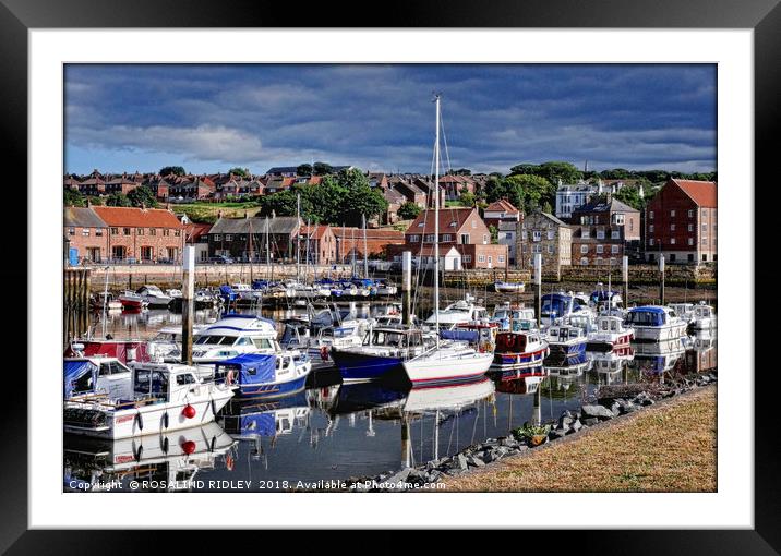 "Whitby Marina Reflections 3" Framed Mounted Print by ROS RIDLEY