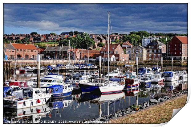 "Whitby Marina Reflections 3" Print by ROS RIDLEY