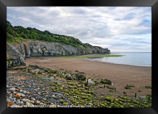 "Sandsend" Framed Print by ROS RIDLEY