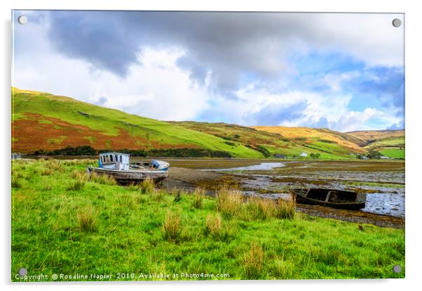 Abandoned boats on Loch Harport Skye Acrylic by Rosaline Napier