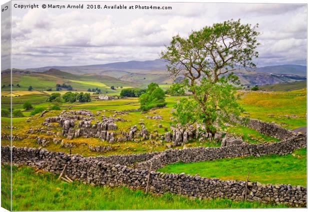 Yorkshire Dales countryside in Malhamdale Canvas Print by Martyn Arnold
